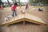 dogwoodpark