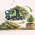 Περισυλλογή & Ανακύκλωση χριστουγεννιάτικων δέντρων από τον Δήμο Φιλοθέης – Ψυχικού
