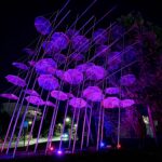 Παγκόσμια Ημέρα Κατά του Καρκίνου 2026 –   «Φροντίδα με Ενσυναίσθηση – Ο Άνθρωπος στο Επίκεντρο»