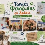 Γωνιές Φιλοζωίας εν δράσει – Μια διαφορετική «τάξη» στον κήπο του Δημοτικού κτιρίου Ψυχικού